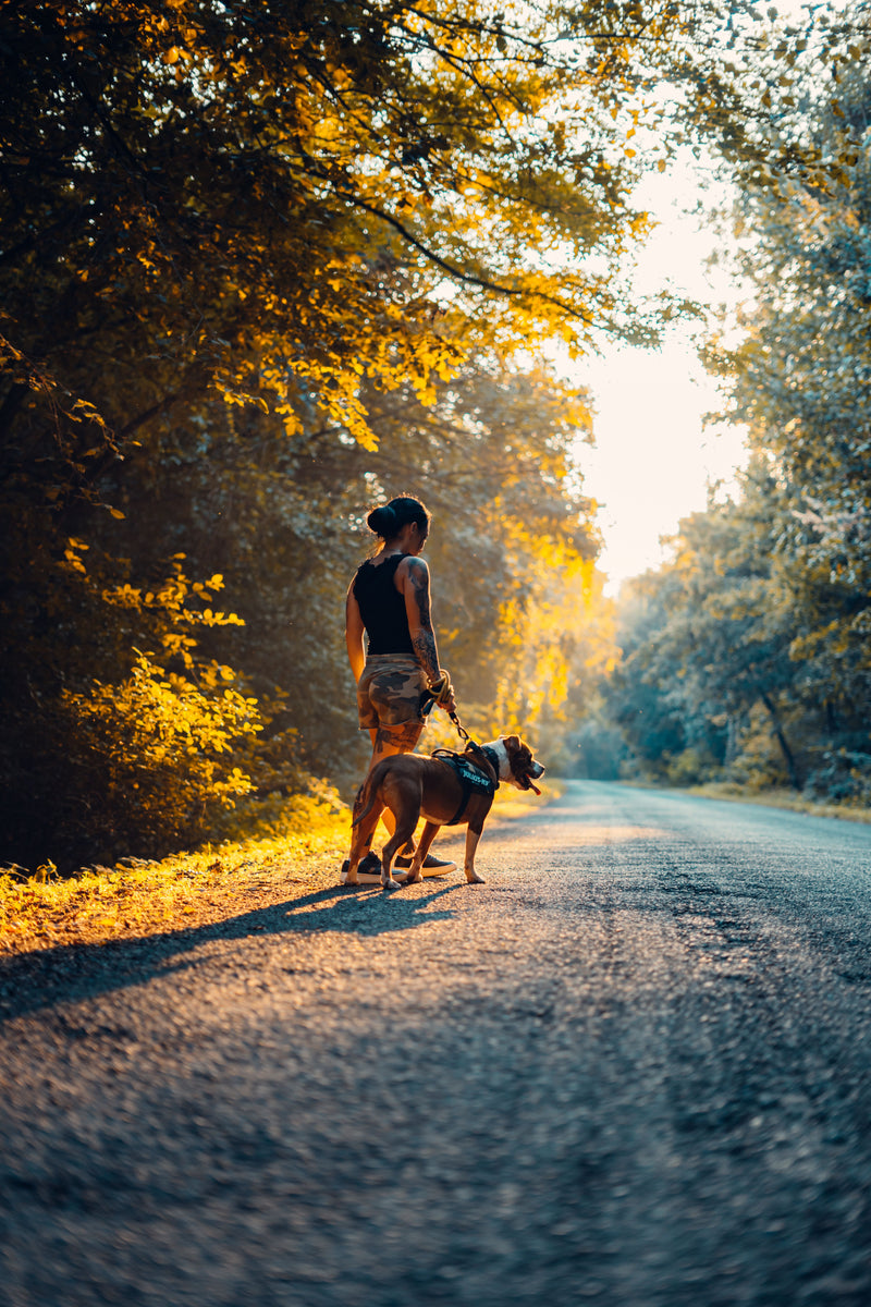 Walking & Travel